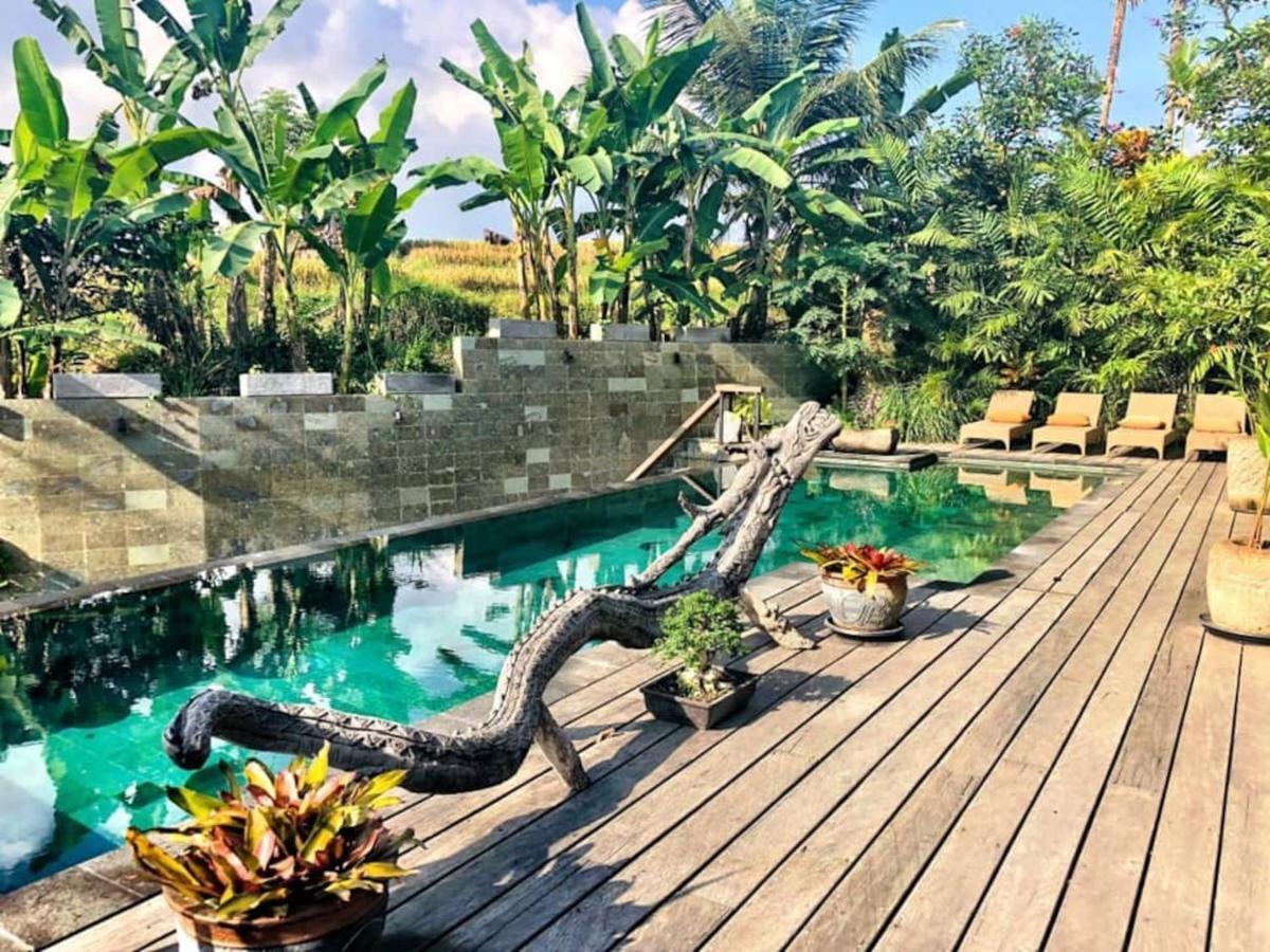 Dragon House - Your Dream House In Bali! Ubud  Exterior photo